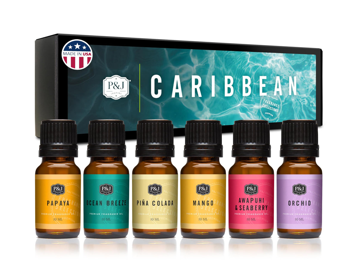 P&J Trading Fragrance Oils for Diffusers for Home Spice Set Fragrance Scents for Candle Making - Soap Making Supplies - Car Diffuser Scents - Essential Home Gift Set - Apple Cider, Cinnamon & More