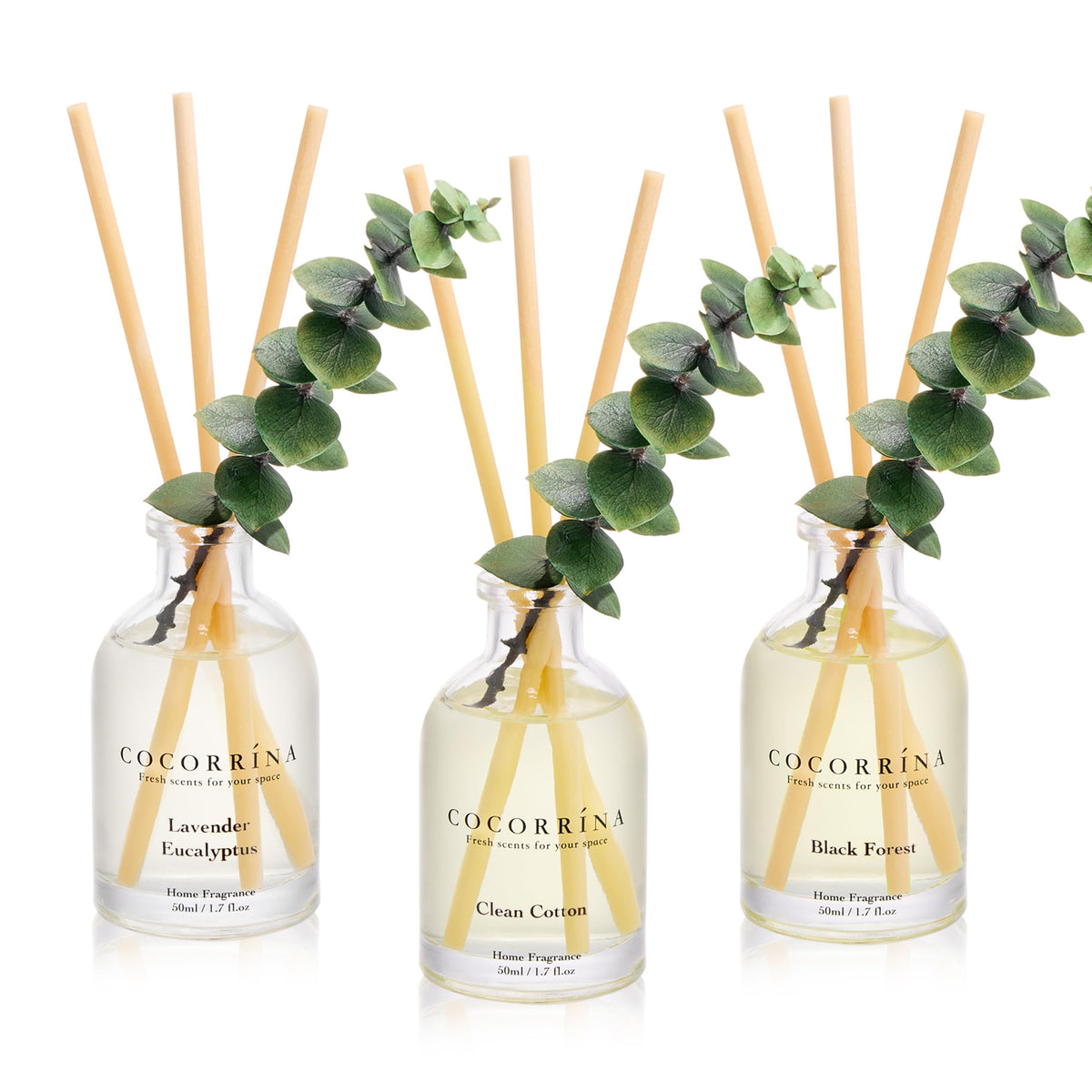COCORRÍNA Reed Diffuser Set of 3 with Dried Eucalyptus for Home & Office