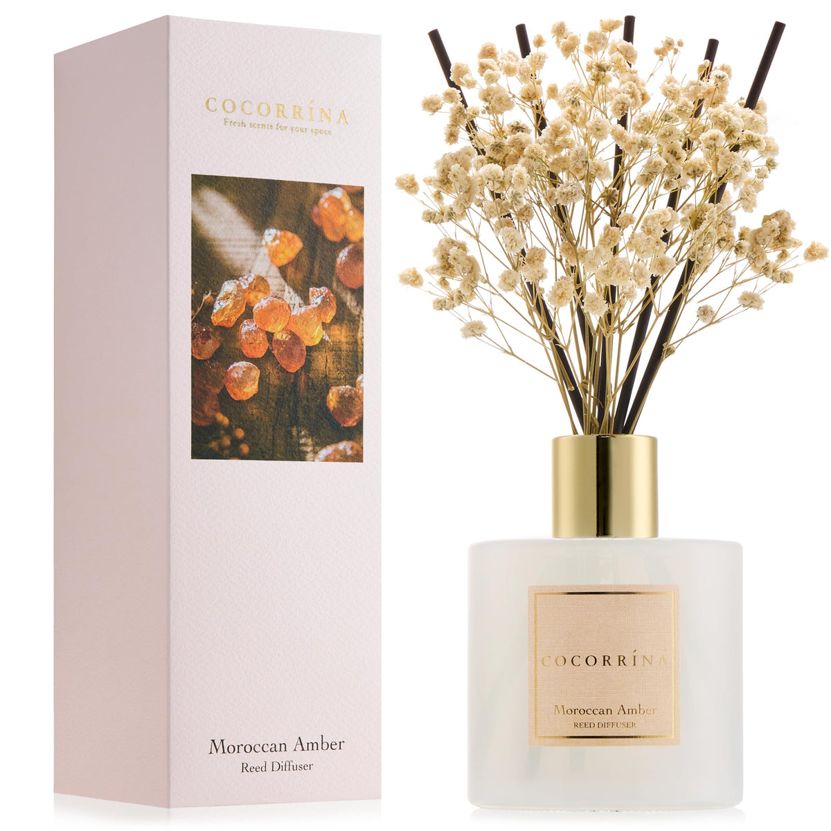 Cocorrína Premium Reed Diffuser Set with Preserved Baby's Breath & Cotton Stick Lavender Thyme | 6.76 Fl.oz Scent Diffuser for Bedroom Bathroom Home Décor