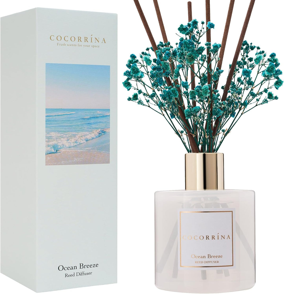 Cocorrína Premium Reed Diffuser Set with Preserved Baby's Breath & Cotton Stick Lavender Thyme | 6.76 Fl.oz Scent Diffuser for Bedroom Bathroom Home Décor