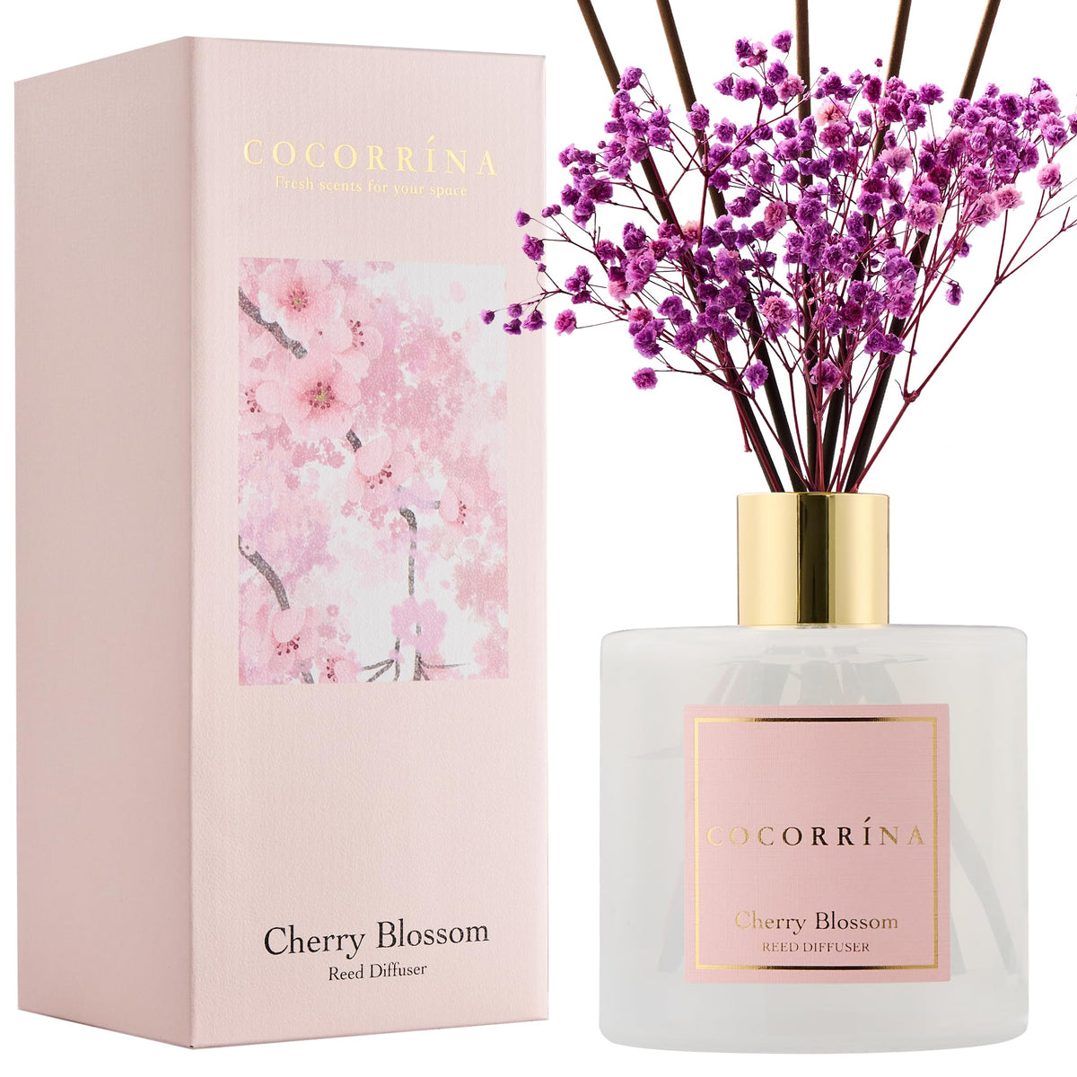 Cocorrína Premium Reed Diffuser Set with Preserved Baby's Breath & Cotton Stick Sandalwood Rose | 6.7oz Scent Fragrance Oil Diffuser for Bedroom Bathroom Home Décor