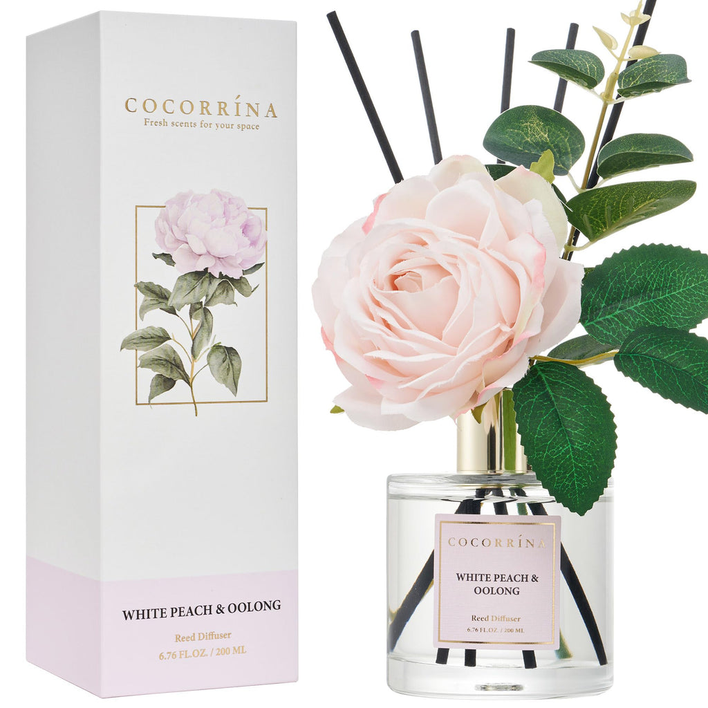 Cocorrína Reed Diffuser Sets- Eucalyptus & Moss Scented Diffuser with Sticks Home Fragrance Reed Diffuser for Bathroom Shelf Decor