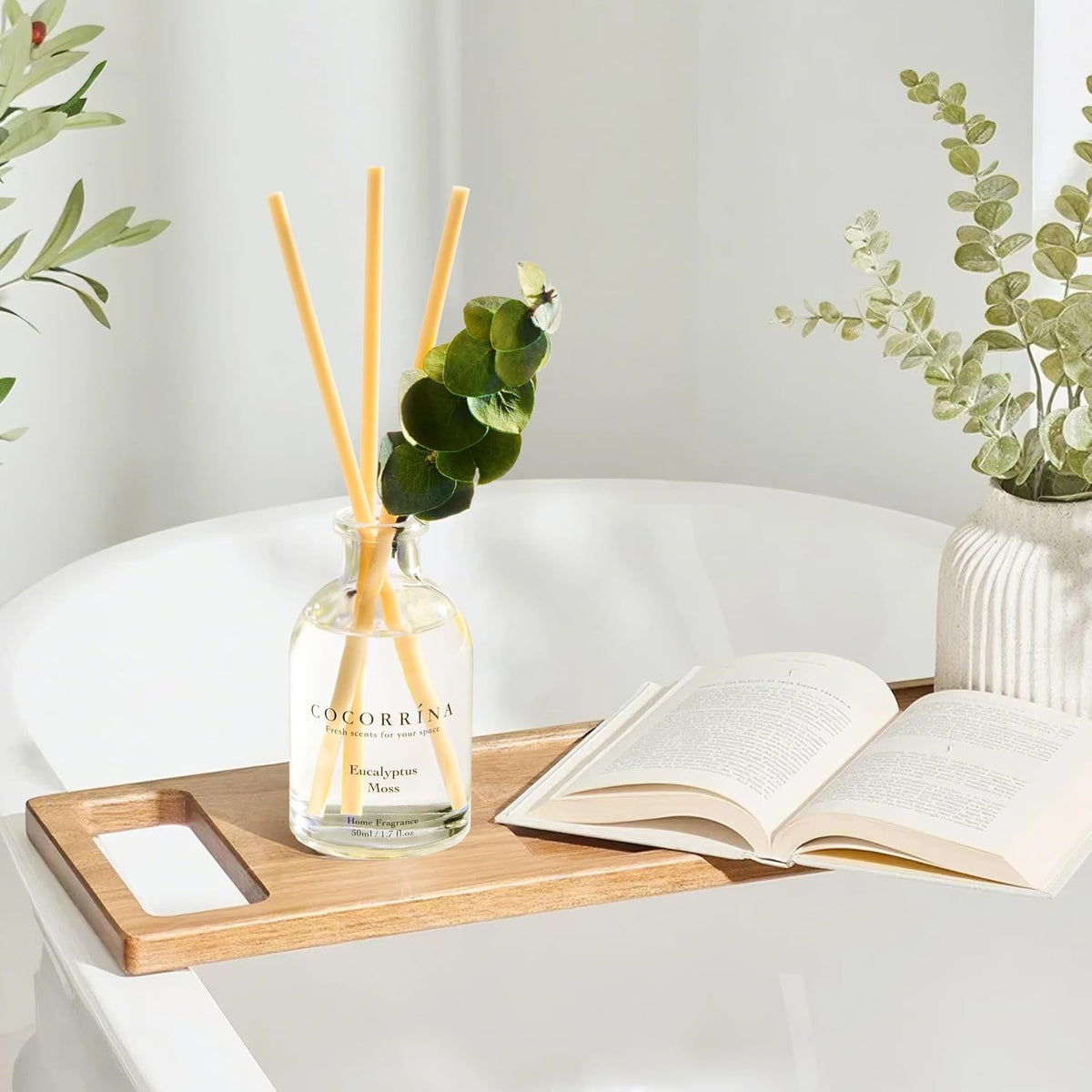 COCORRÍNA Reed Diffuser Set of 3 with Dried Eucalyptus for Home & Office