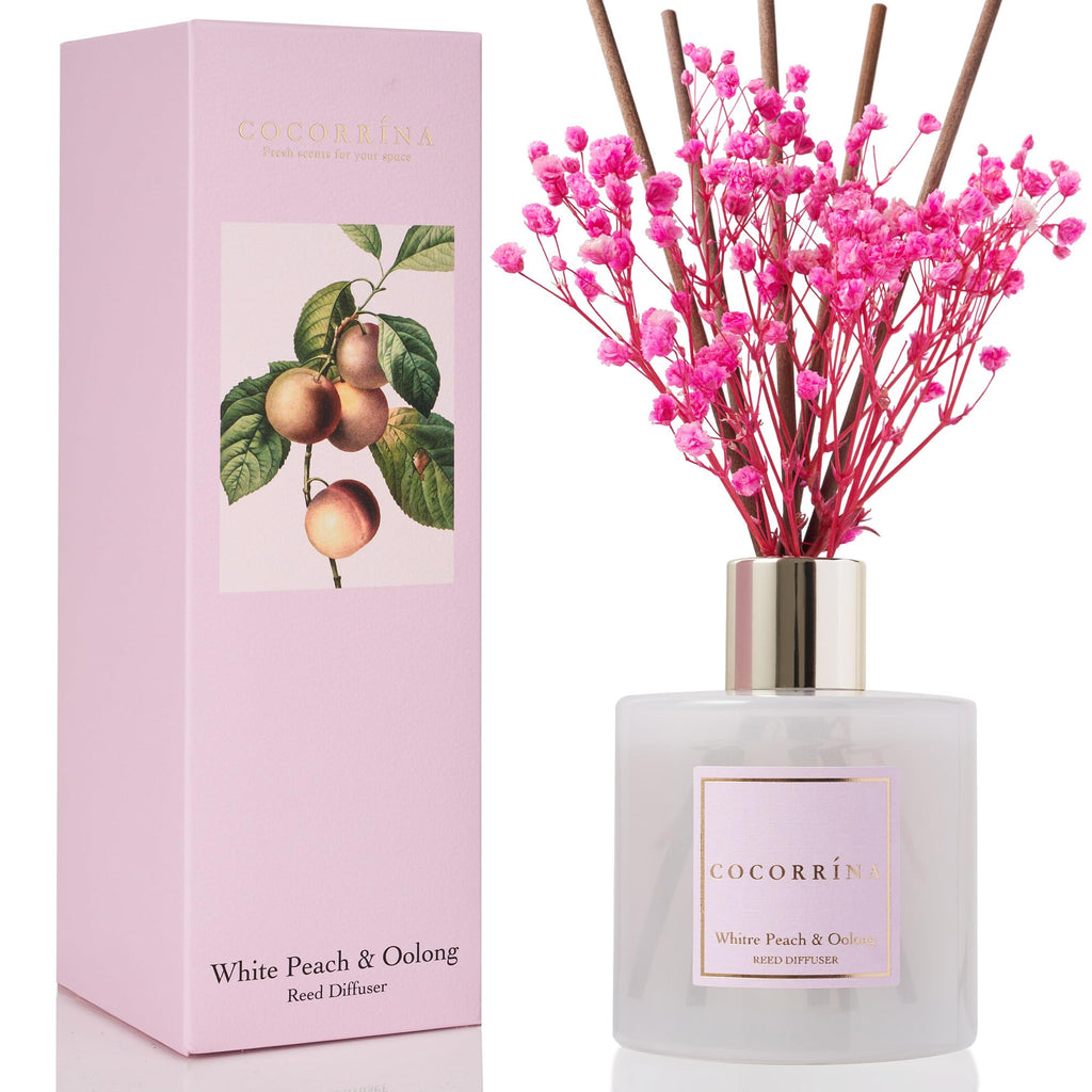 Cocorrína Reed Diffuser Sets- Eucalyptus & Moss Scented Diffuser with Sticks Home Fragrance Reed Diffuser for Bathroom Shelf Decor