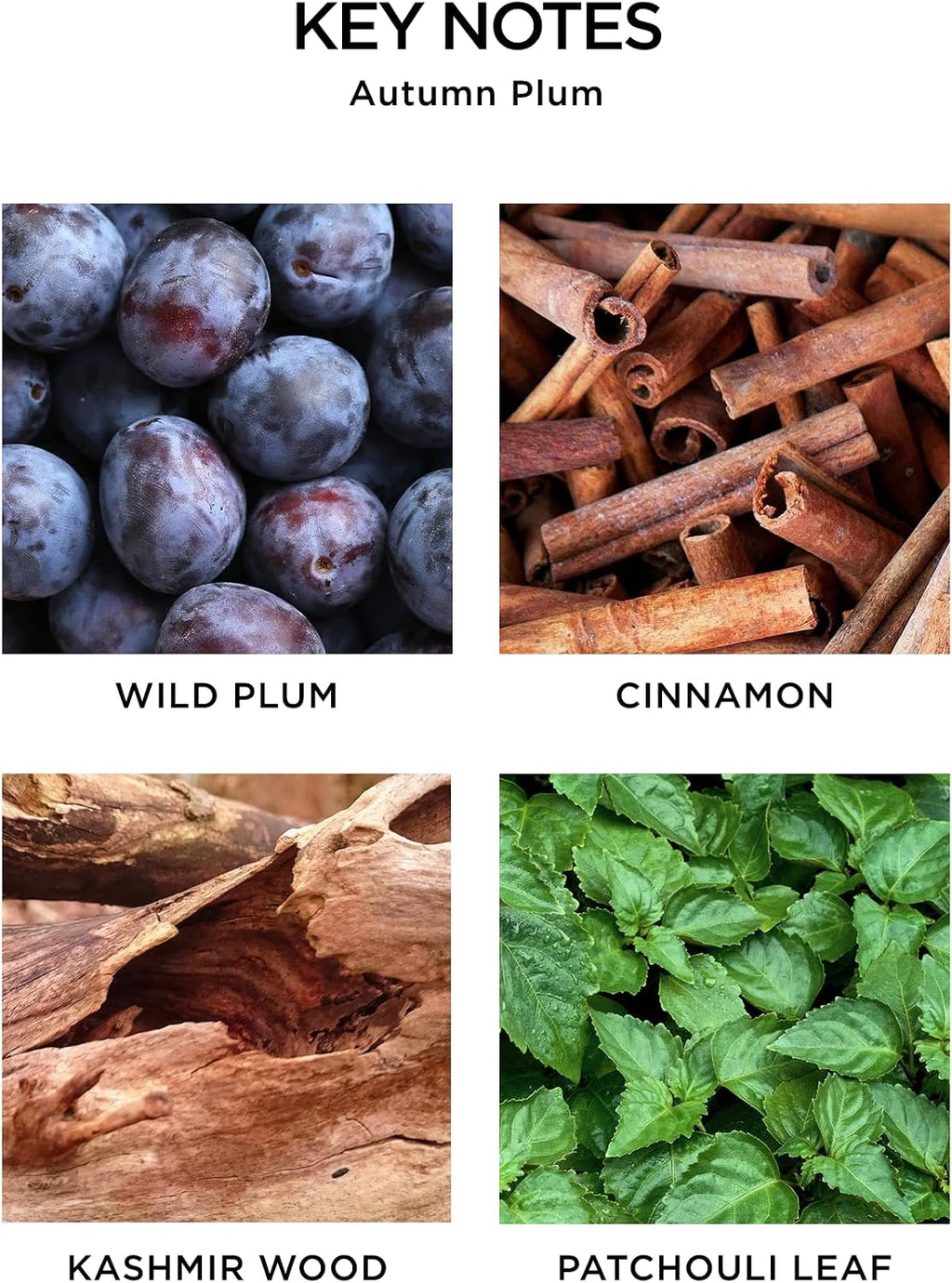 NEST New York Reed Diffuser, Autumn Plum - The Fall Collection - 5.9 fl oz - Fragrance for Up to 90 Days - Reusable, Refillable Glass Holder - Includes 8 All-Natural Reed Sticks - Flame Free
