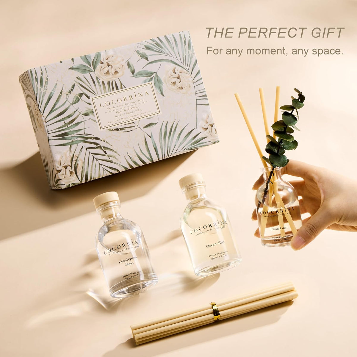 COCORRÍNA Reed Diffuser Set of 3 with Dried Eucalyptus for Home & Office
