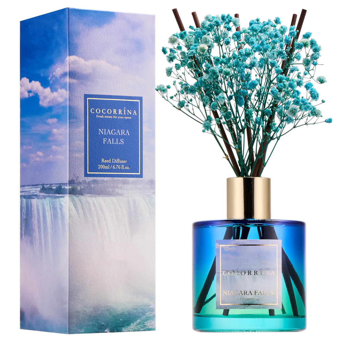 Cocorrína Premium Reed Diffuser Set with Preserved Baby's Breath & Cotton Stick Lavender Thyme | 6.76 Fl.oz Scent Diffuser for Bedroom Bathroom Home Décor