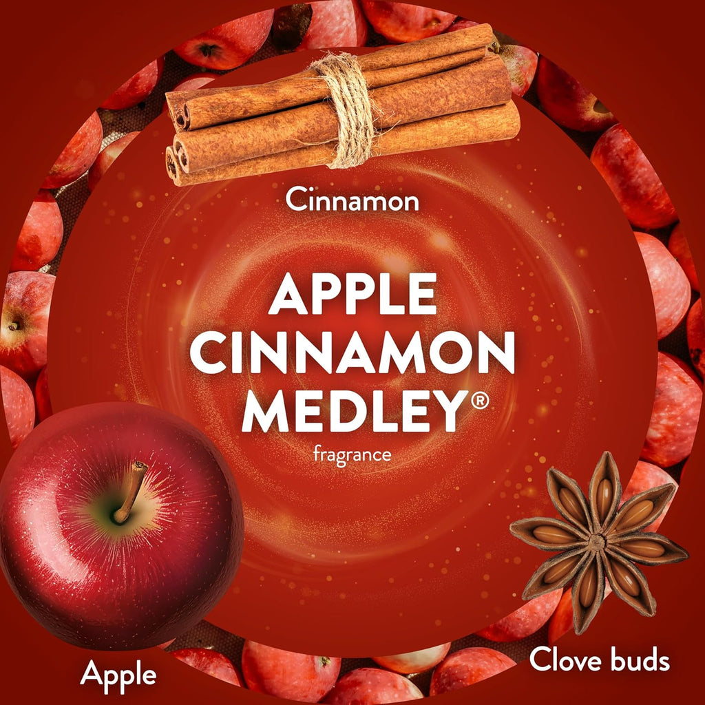 Air Wick Plug In Refill, Apple Cinnamon Medley, Essential Oils, 5 count